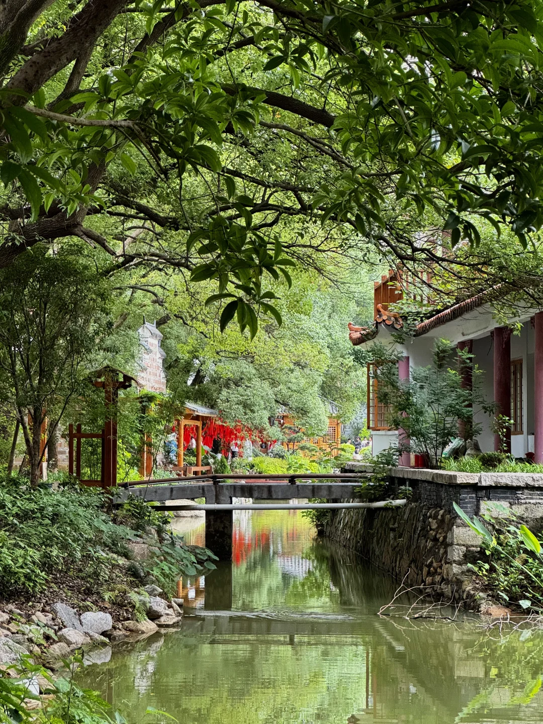 南昌那些充满生命力的打卡地……🥹🥹(合集)