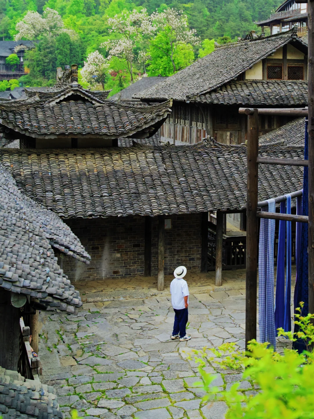 高铁直达，贵州严重被低估的避世仙境❗️❗️