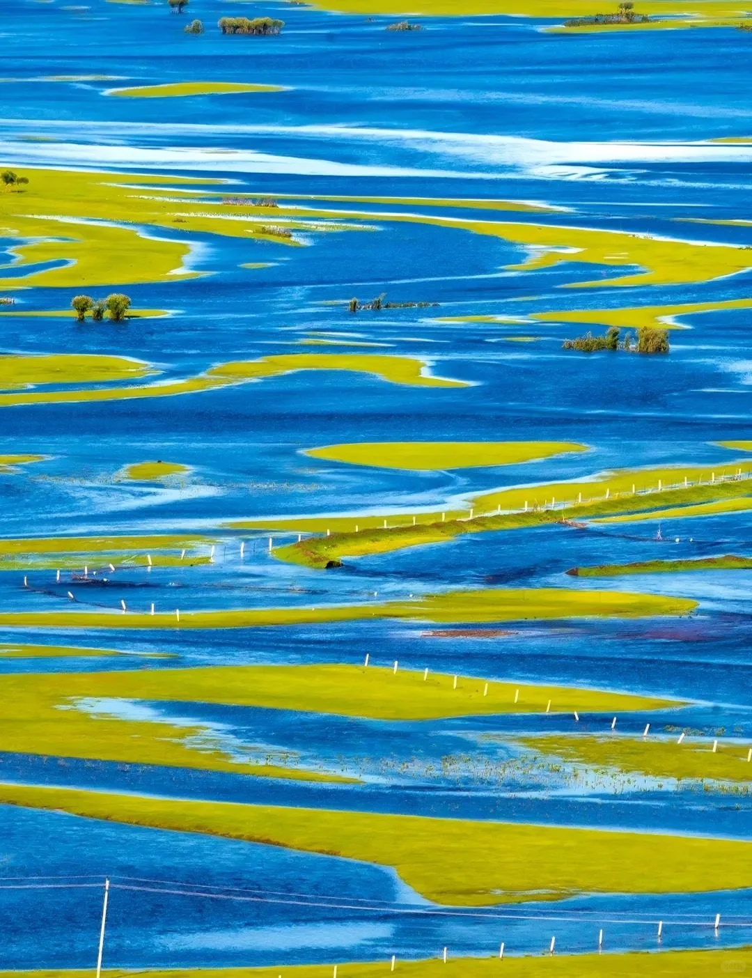 我该怎样跟你描述，属于内蒙古的夏日长梦✨