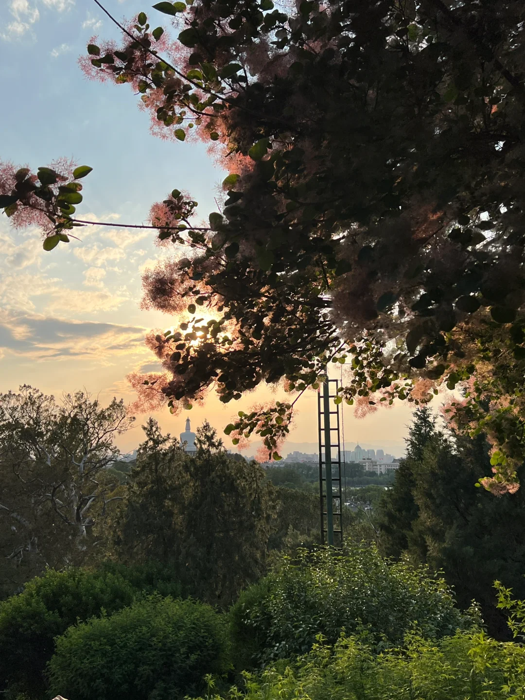 景山公园，最佳故宫全景打卡位