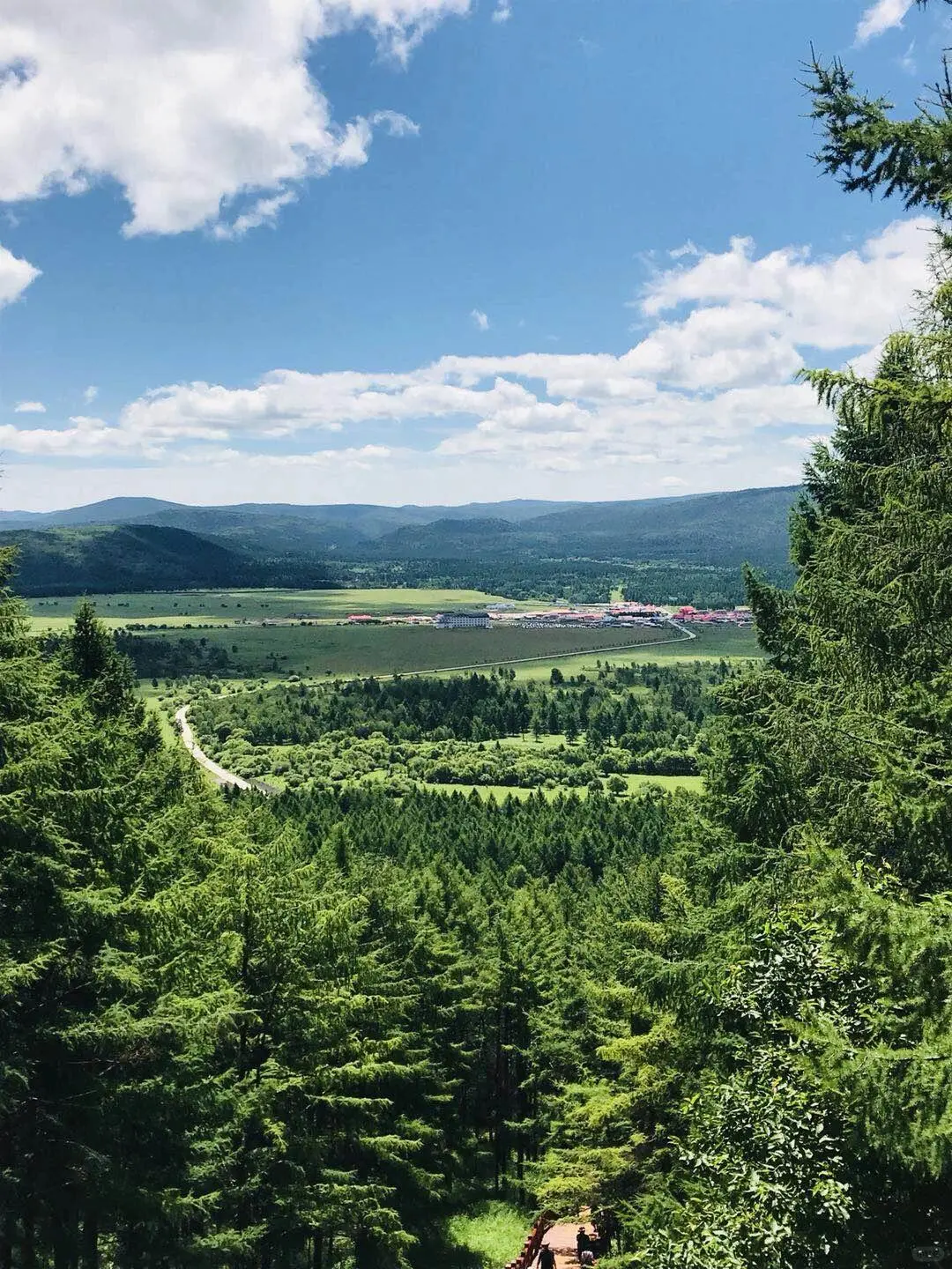 谁懂🥲内蒙古竟然有 i 人最喜欢的绿野仙踪