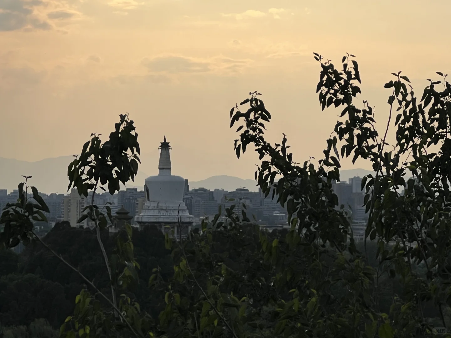 景山公园，最佳故宫全景打卡位