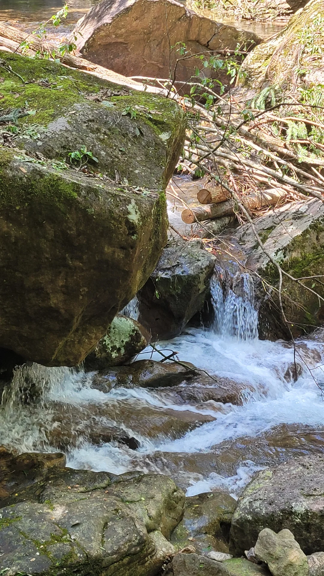 超级成功的一次五一假期反向旅游～遂昌