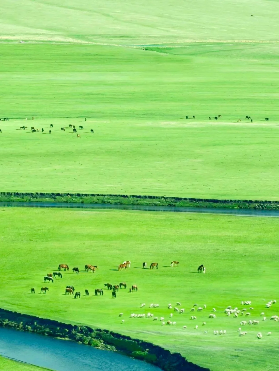我该怎样跟你描述，属于内蒙古的夏日长梦✨