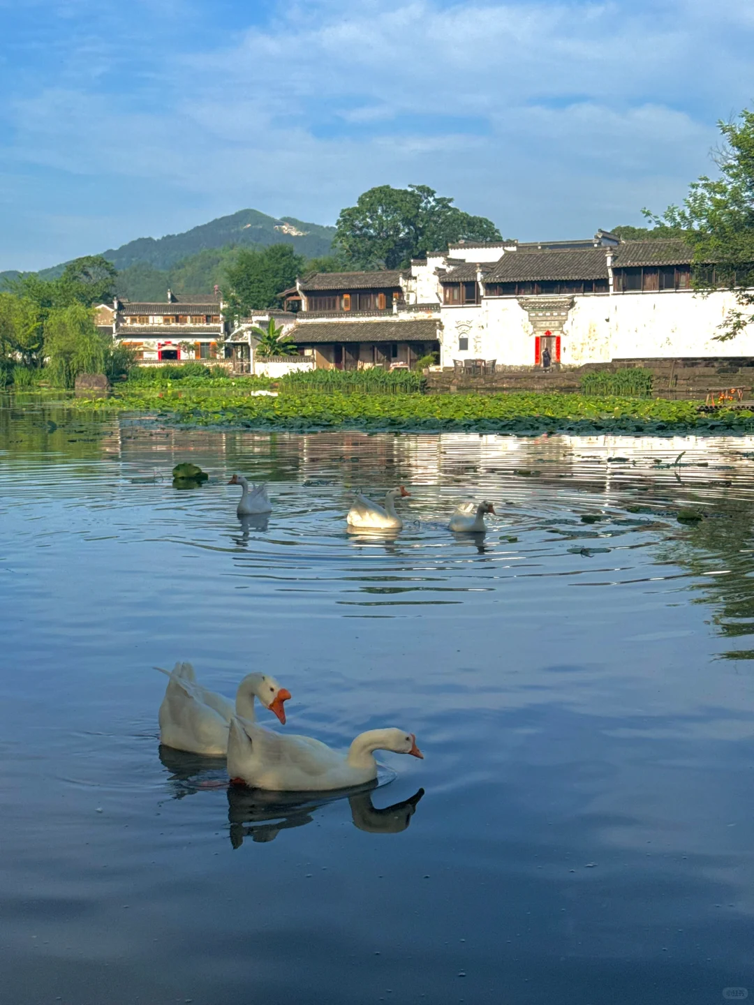 live｜人生建议：呈坎一定要下午去