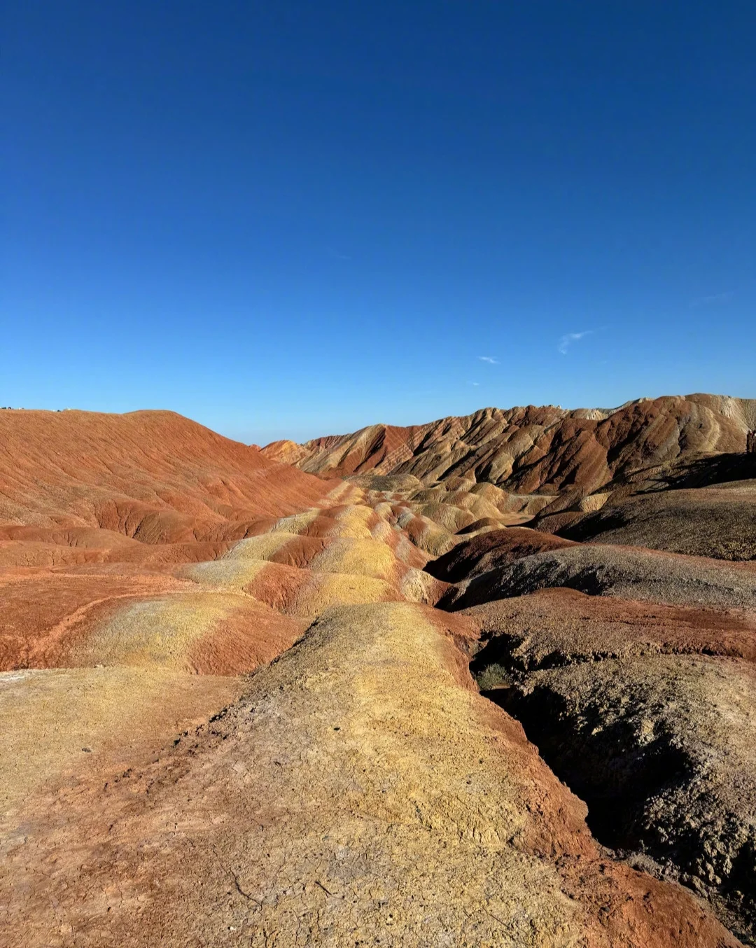 2025年青甘大环线最新旅游攻略|纯玩无购物