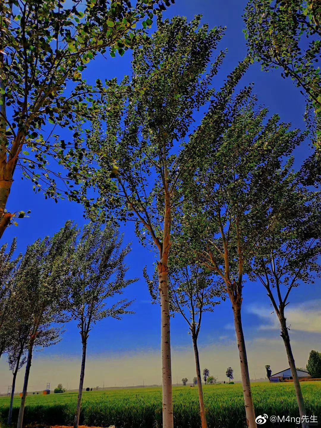 漫无目的的瞎逛,才是最好的旅游。