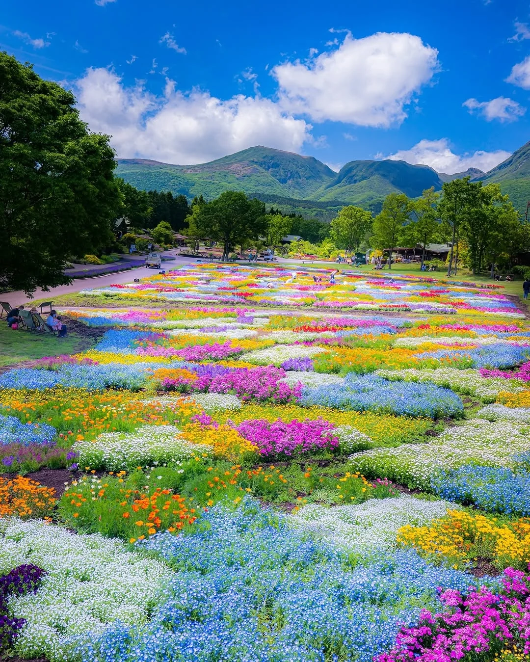 天呀！🌸这是真实存在的花花调色盘呐！