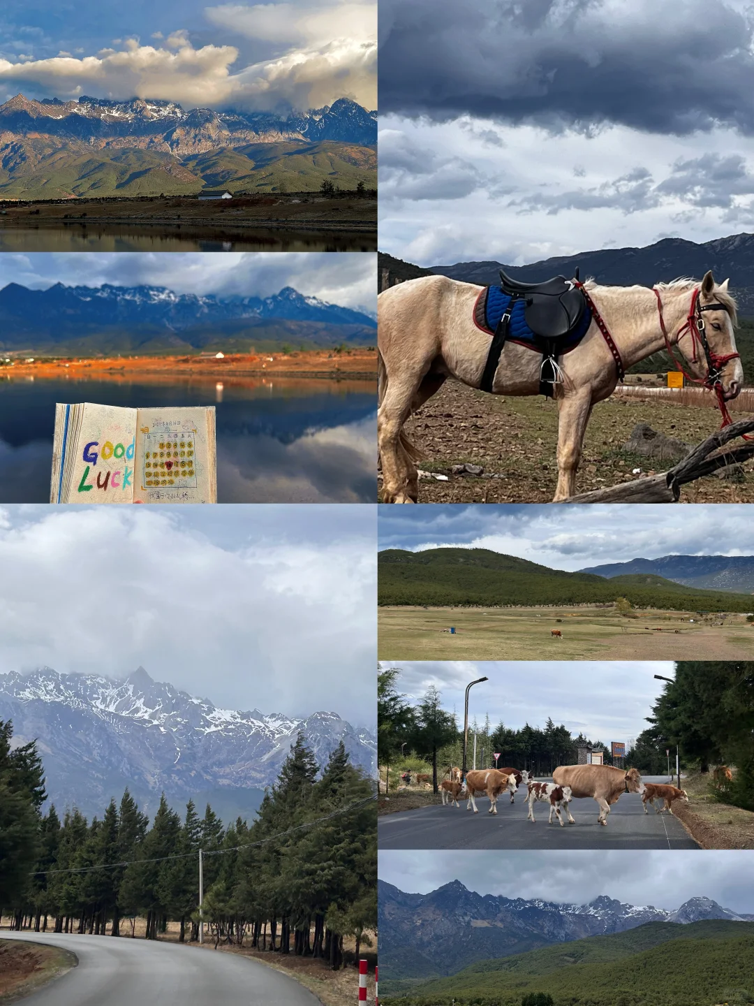 福建➡️云南保姆级攻略总花费2.5k