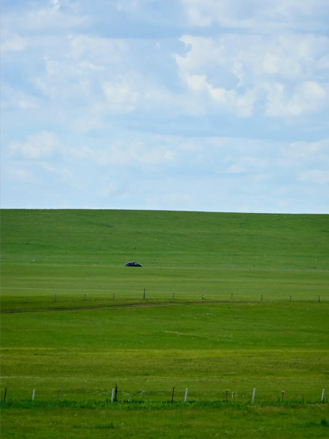 我该怎样跟你描述，属于内蒙古的夏日长梦✨