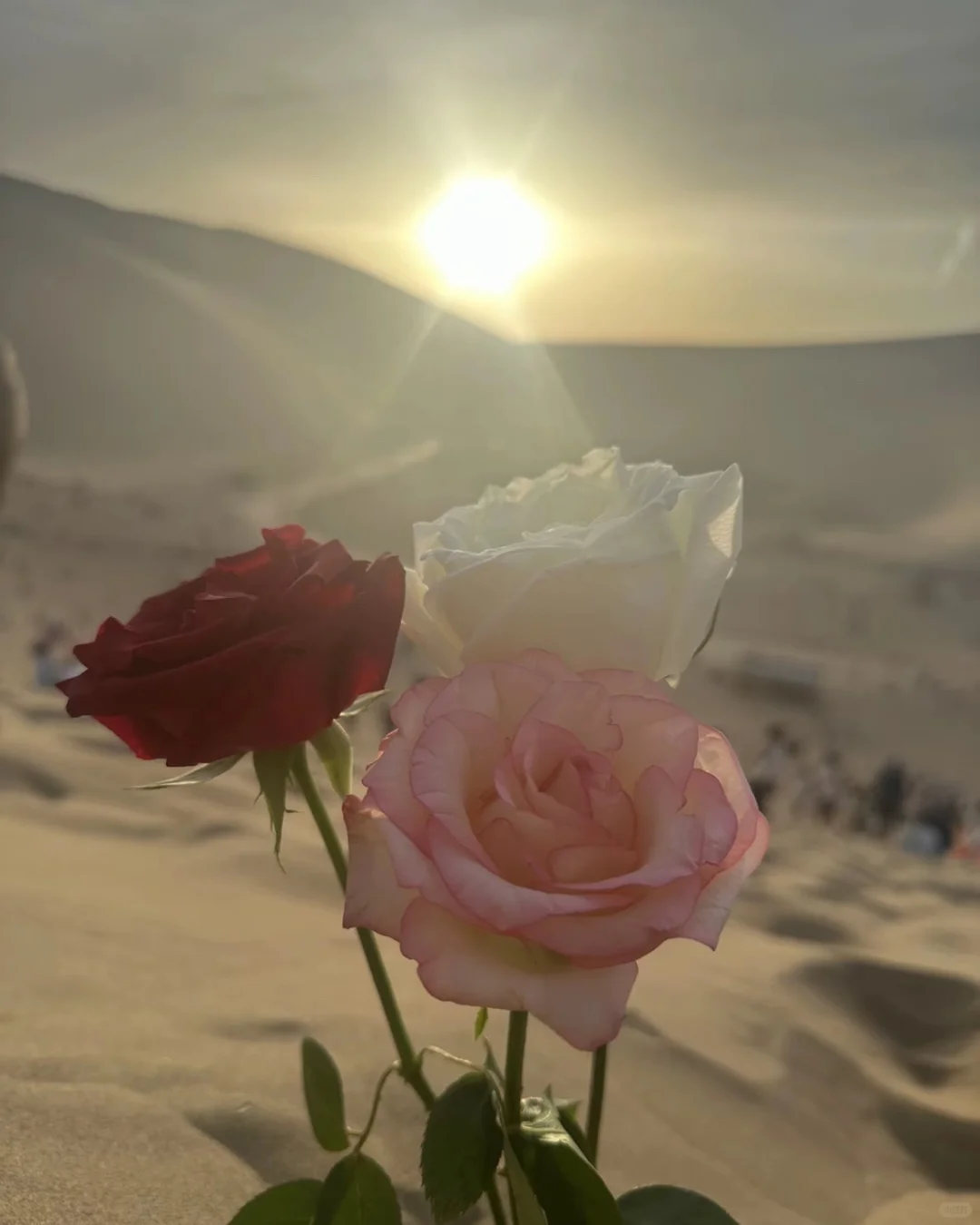 到西北不要洗头,因为…