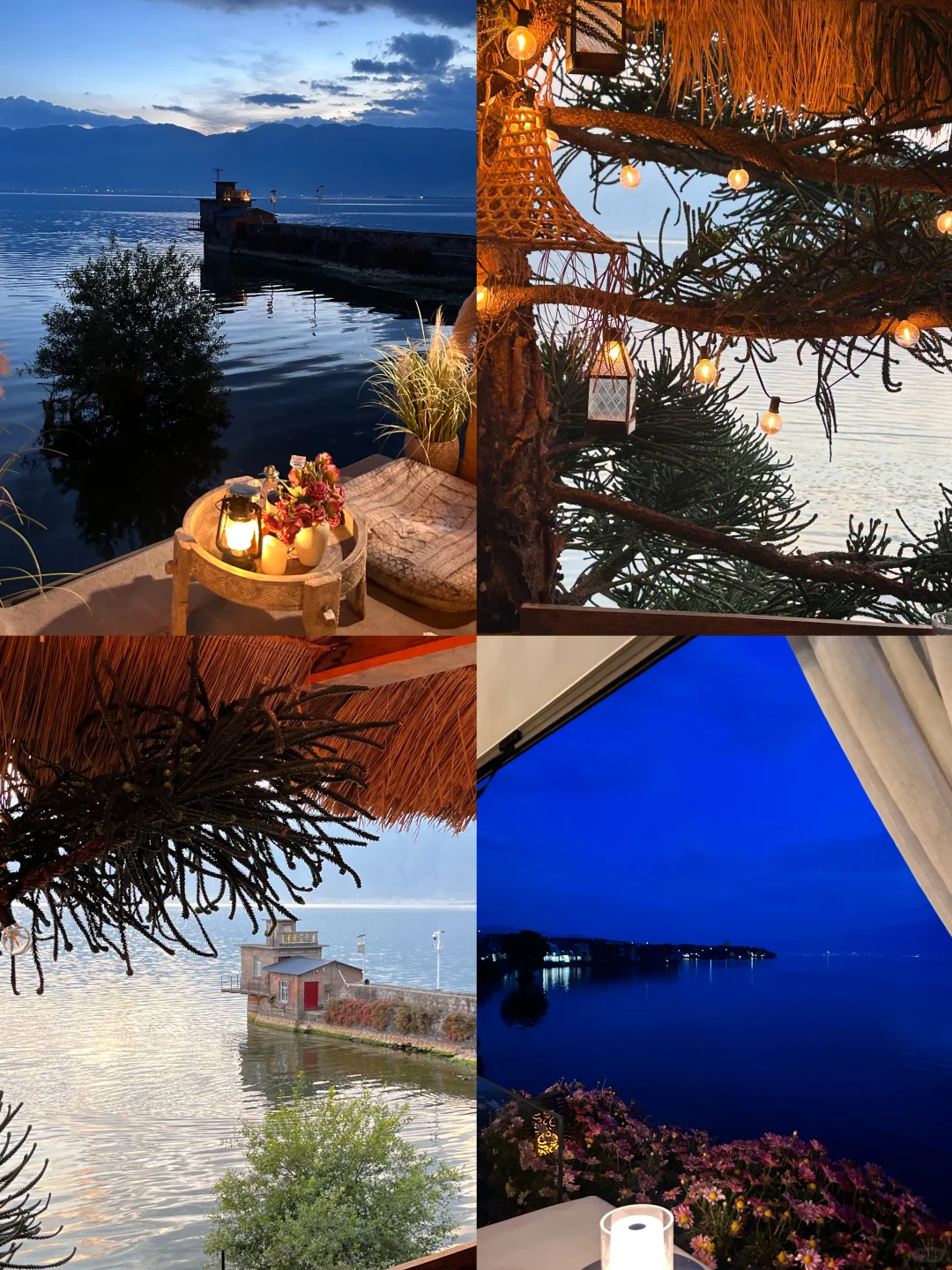 福建➡️云南保姆级攻略总花费2.5k