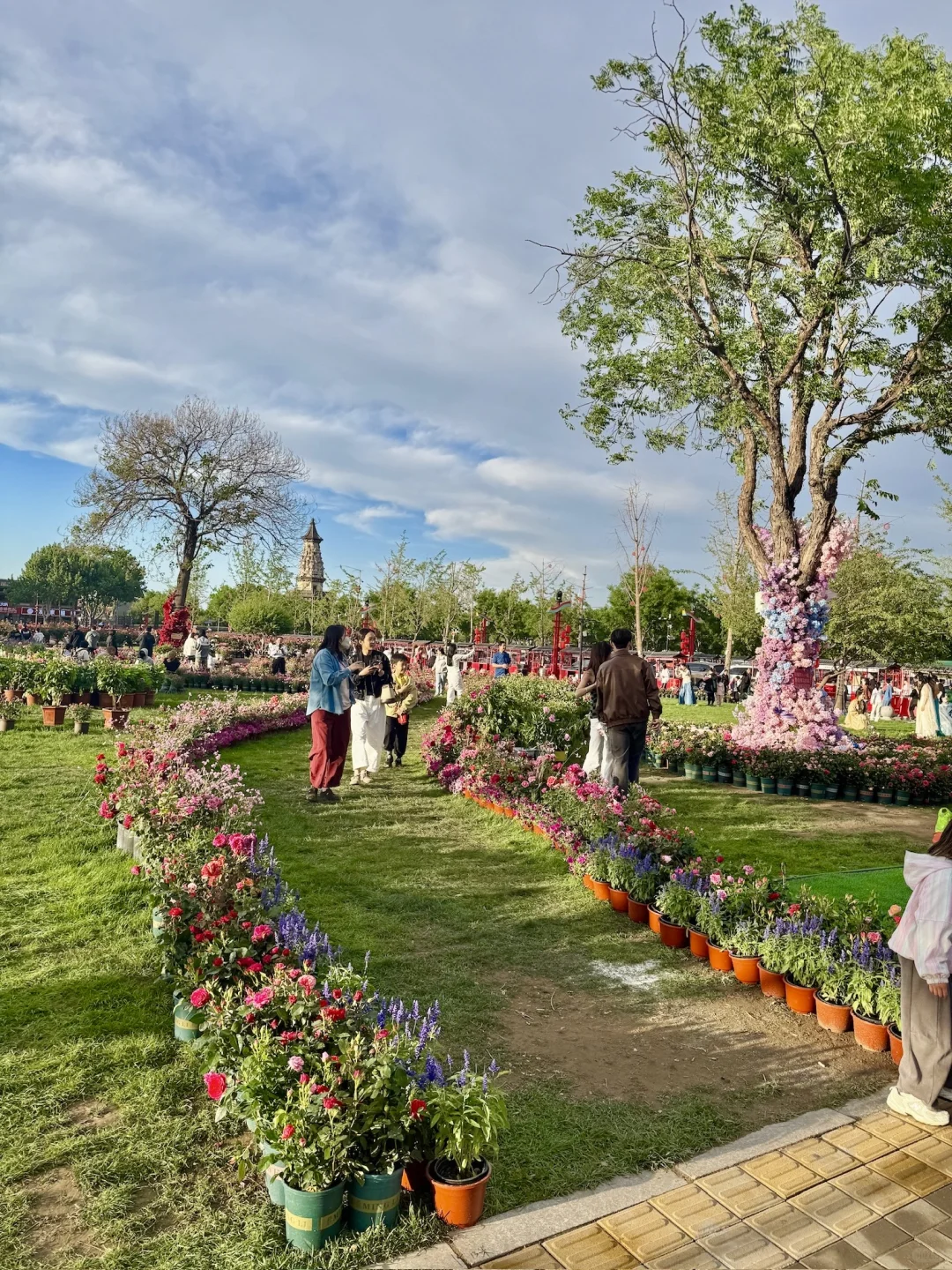 正定文旅你别太会了！！这也太浪漫啦啊啊啊