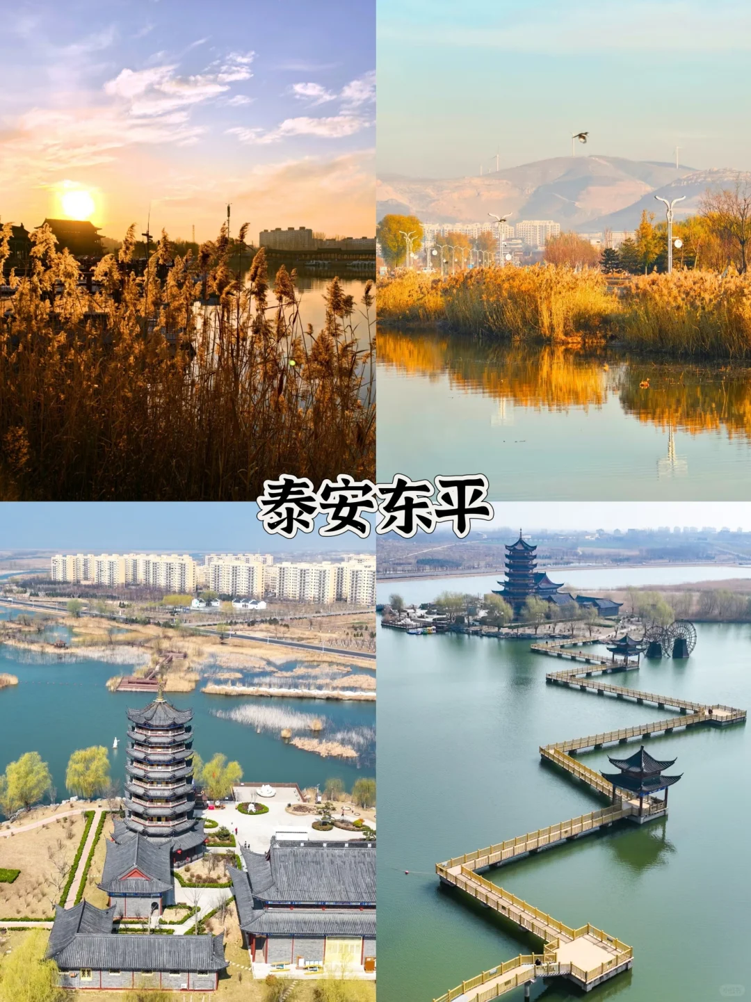 五一山东周边自驾游攻略 | 1-4 小时车程