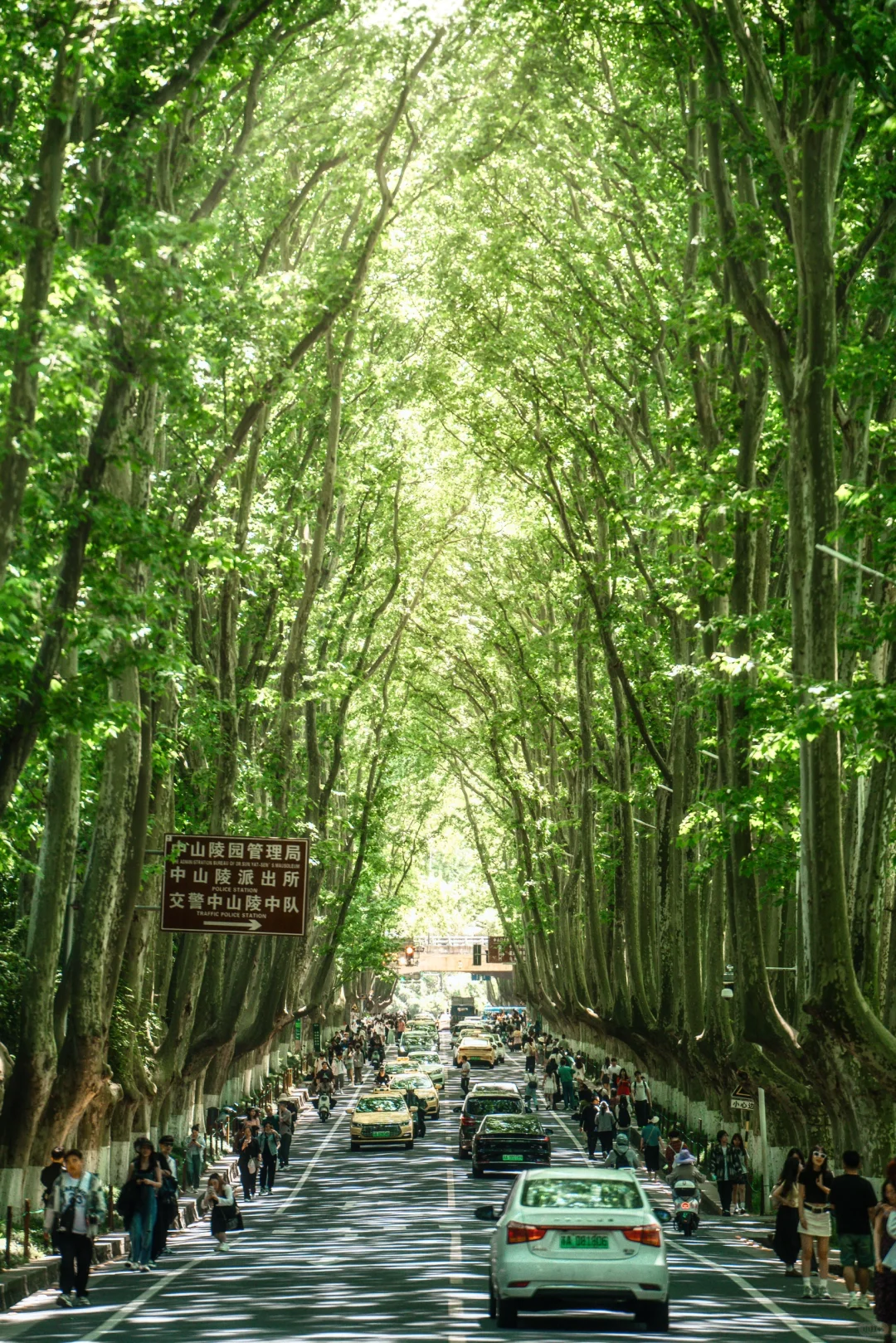 写给7-8月去南京的姐妹‼️3️⃣天2️⃣夜攻略