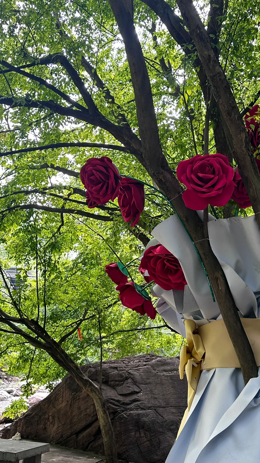 河南自己的“九寨沟” （附攻略）live图