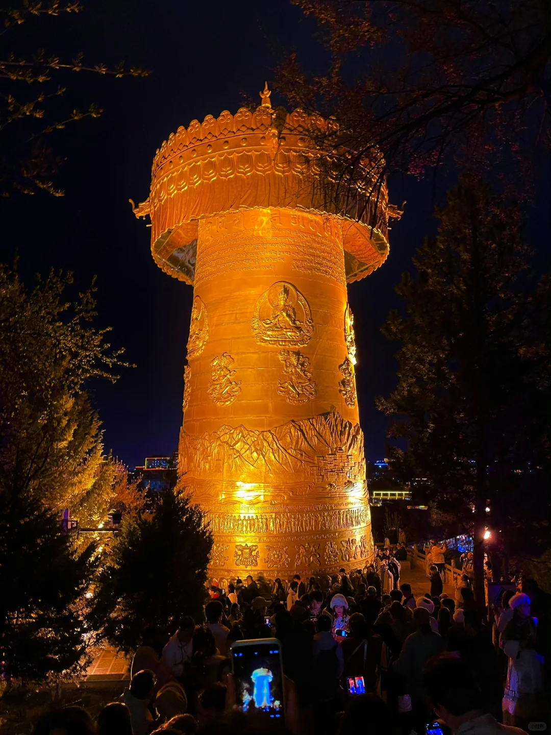 云南跟团已回，全是真实体验，给想去的避坑