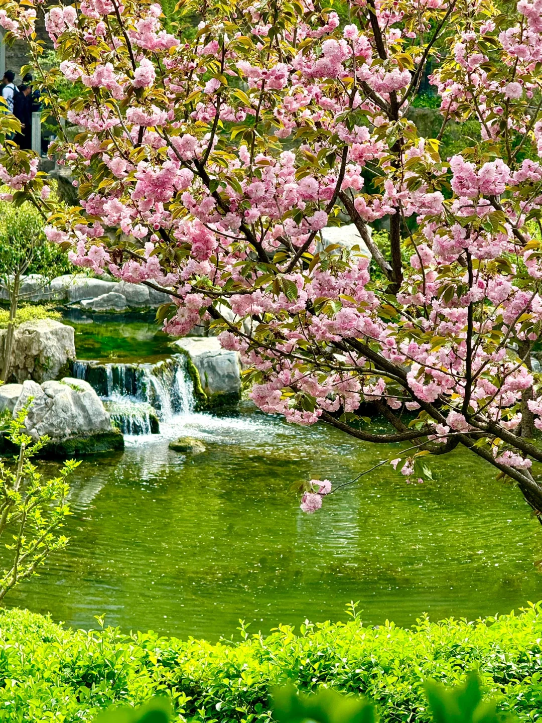 人均300💰济南48h特种兵citywalk路线攻略