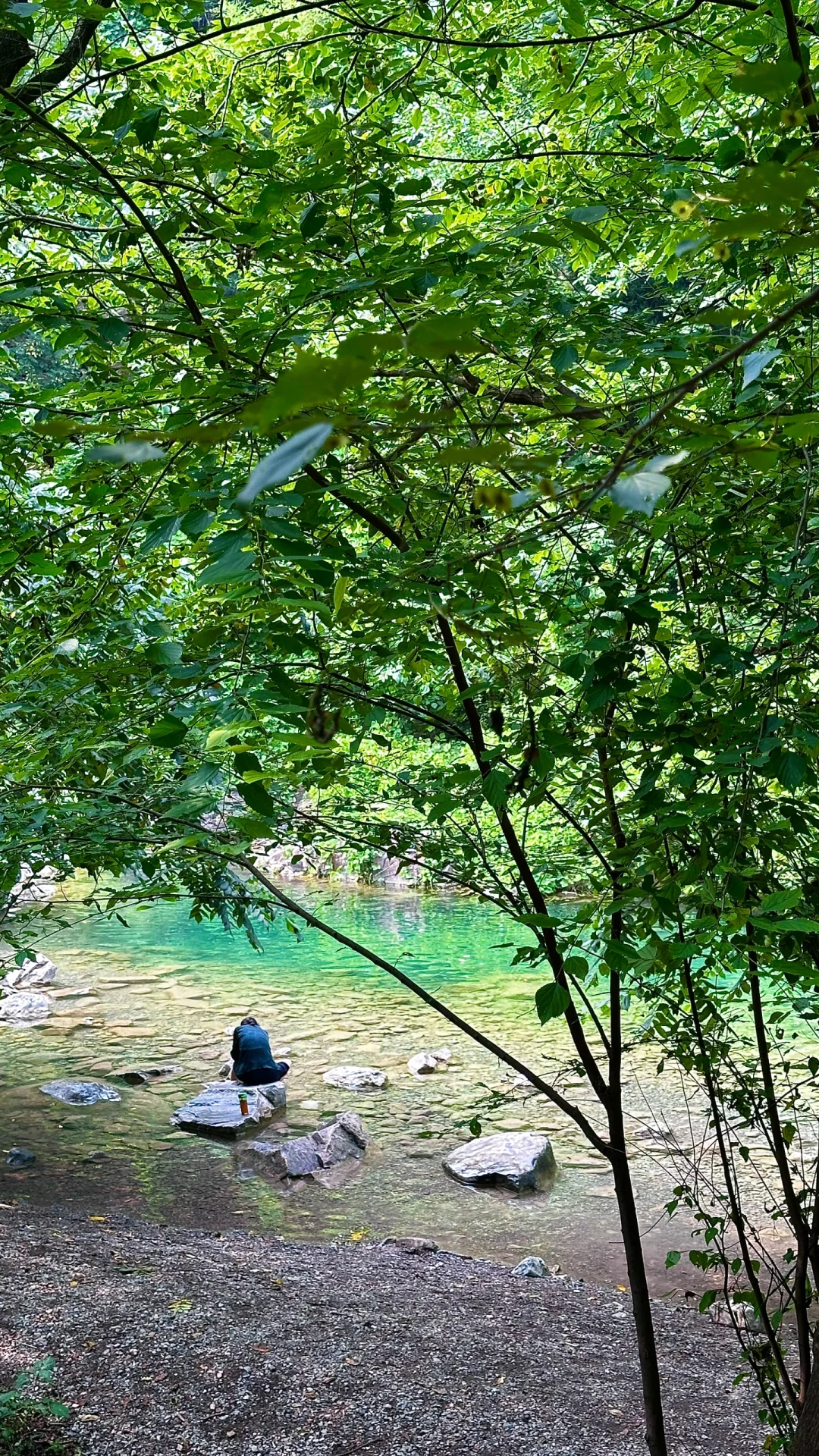 河南自己的“九寨沟” （附攻略）live图