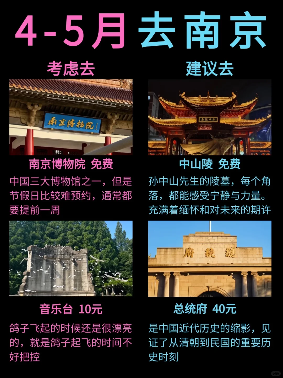 本地人旅游推荐