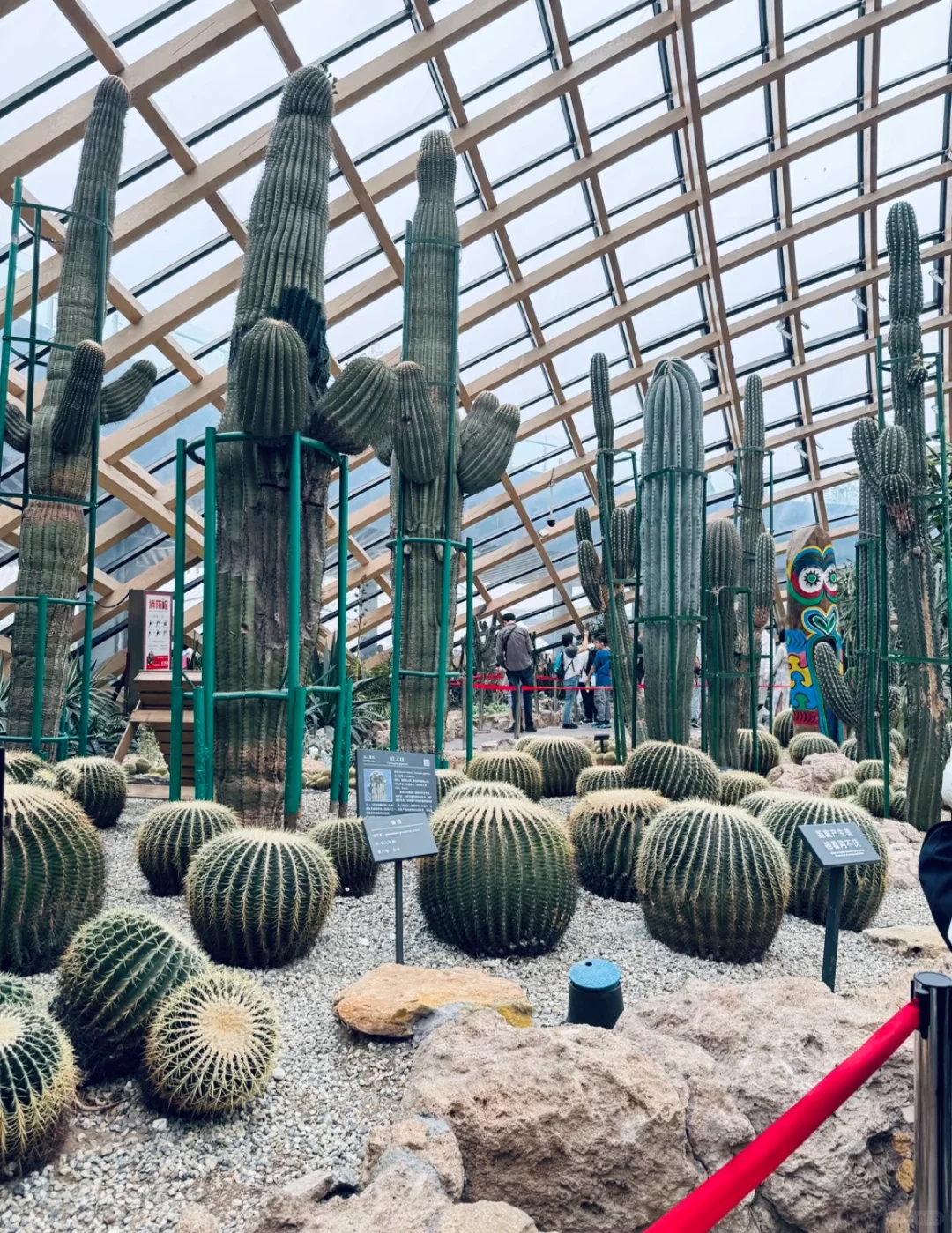 03女大📍太原/两天一夜精华版旅游攻略❗️