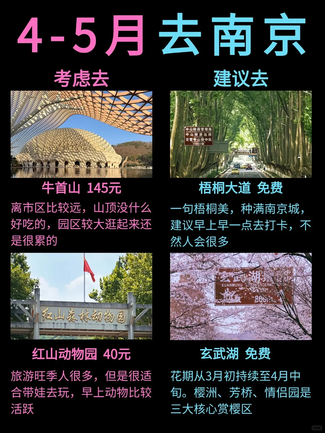 本地人旅游推荐