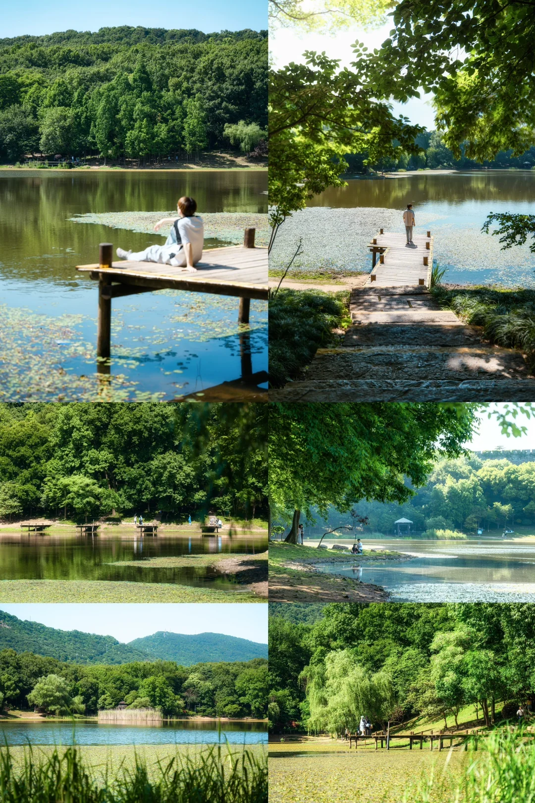 写给7-8月去南京的姐妹‼️3️⃣天2️⃣夜攻略