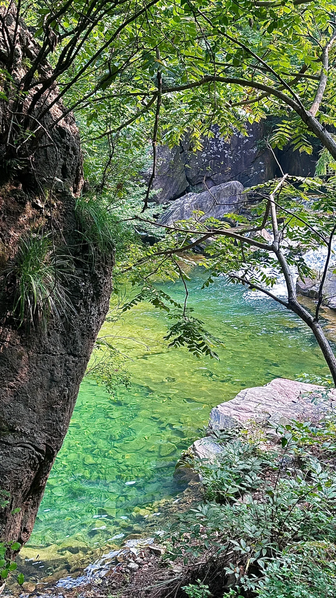 河南自己的“九寨沟” （附攻略）live图