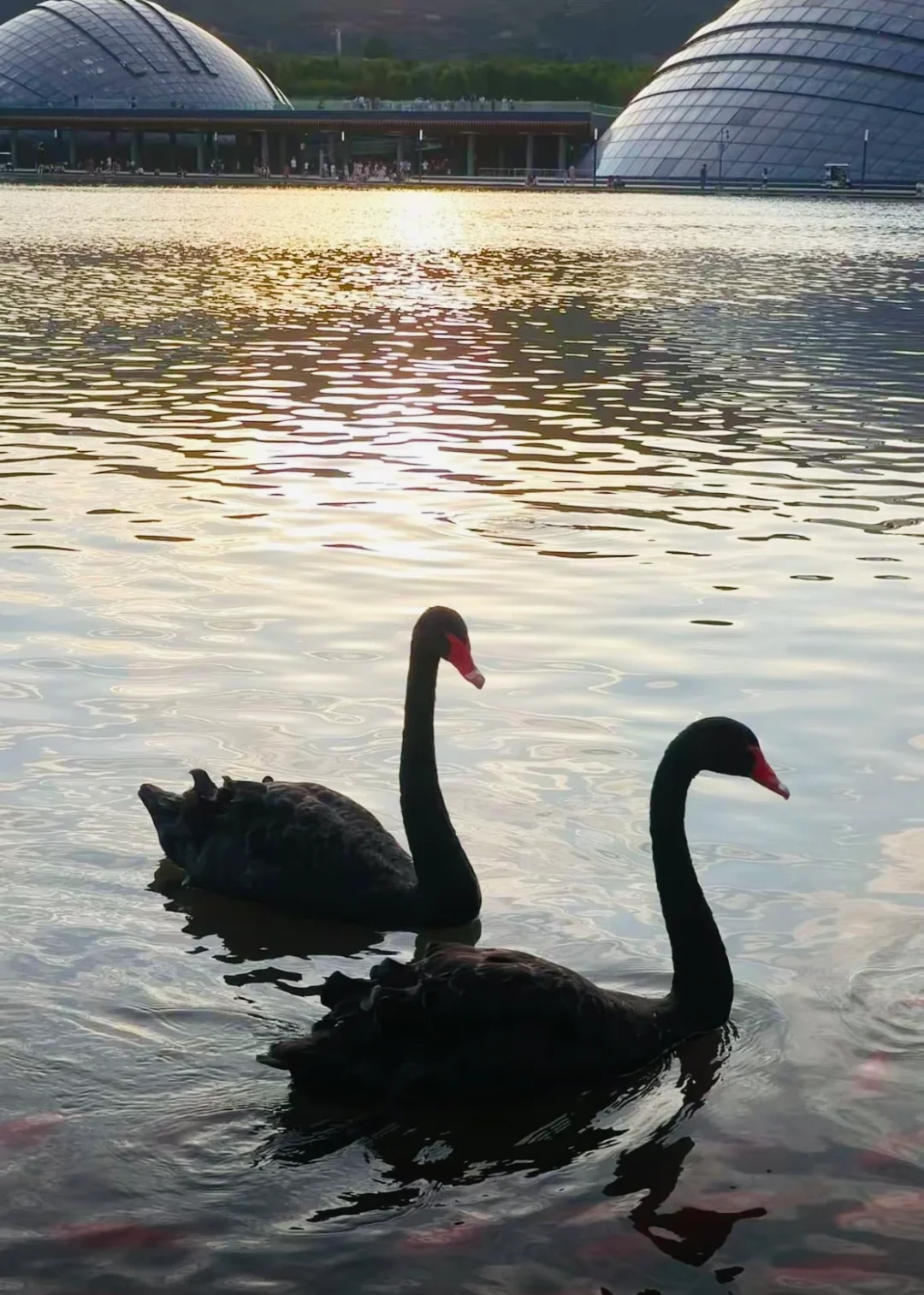 03女大📍太原/两天一夜精华版旅游攻略❗️