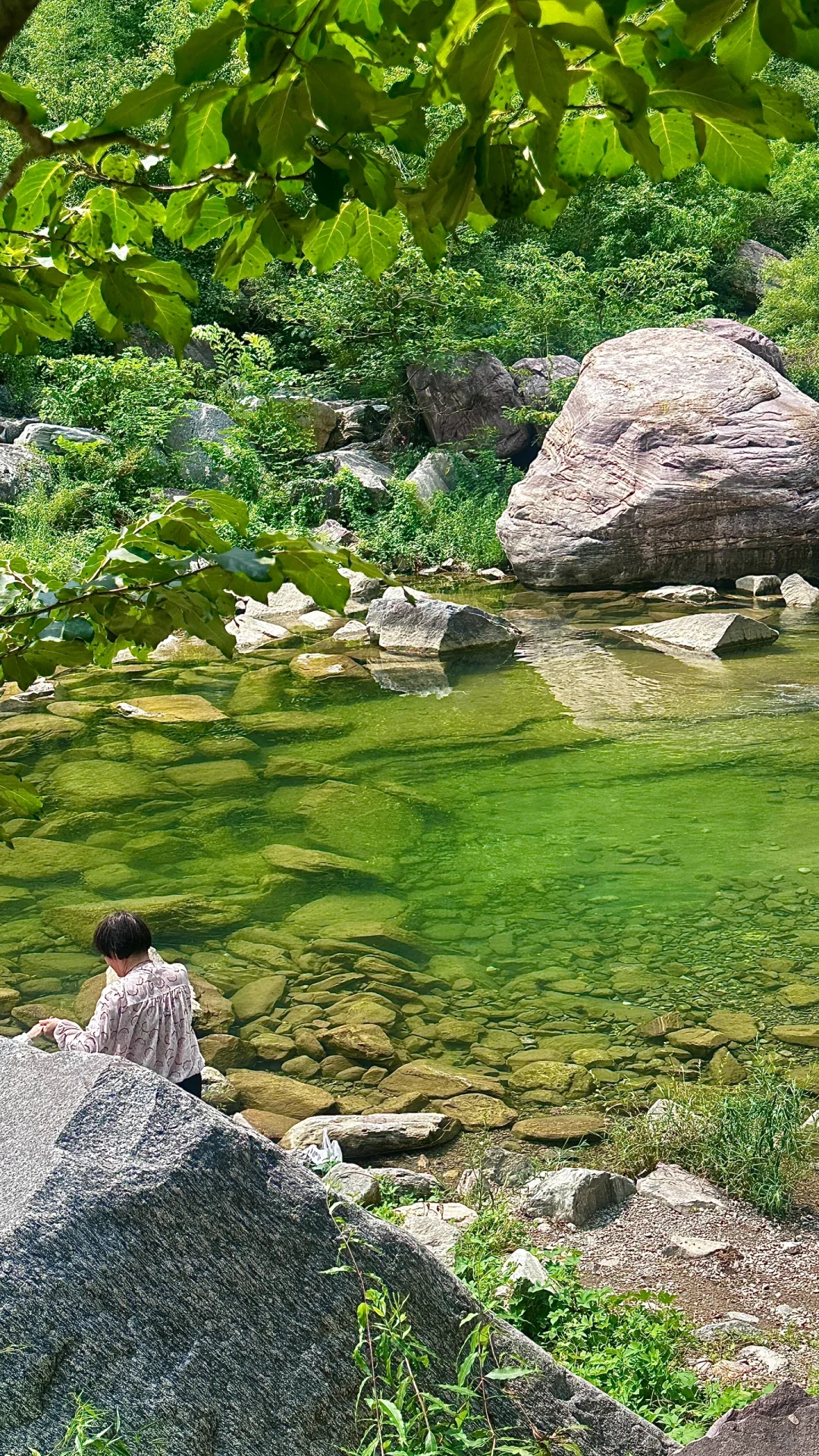 河南自己的“九寨沟” （附攻略）live图