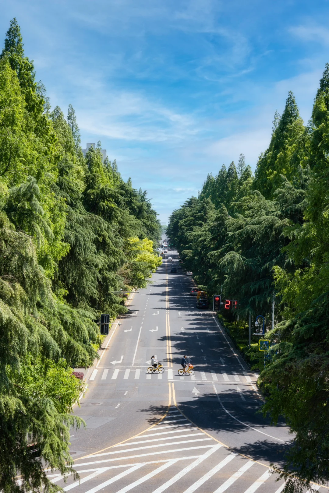 写给7-8月去南京的姐妹‼️3️⃣天2️⃣夜攻略