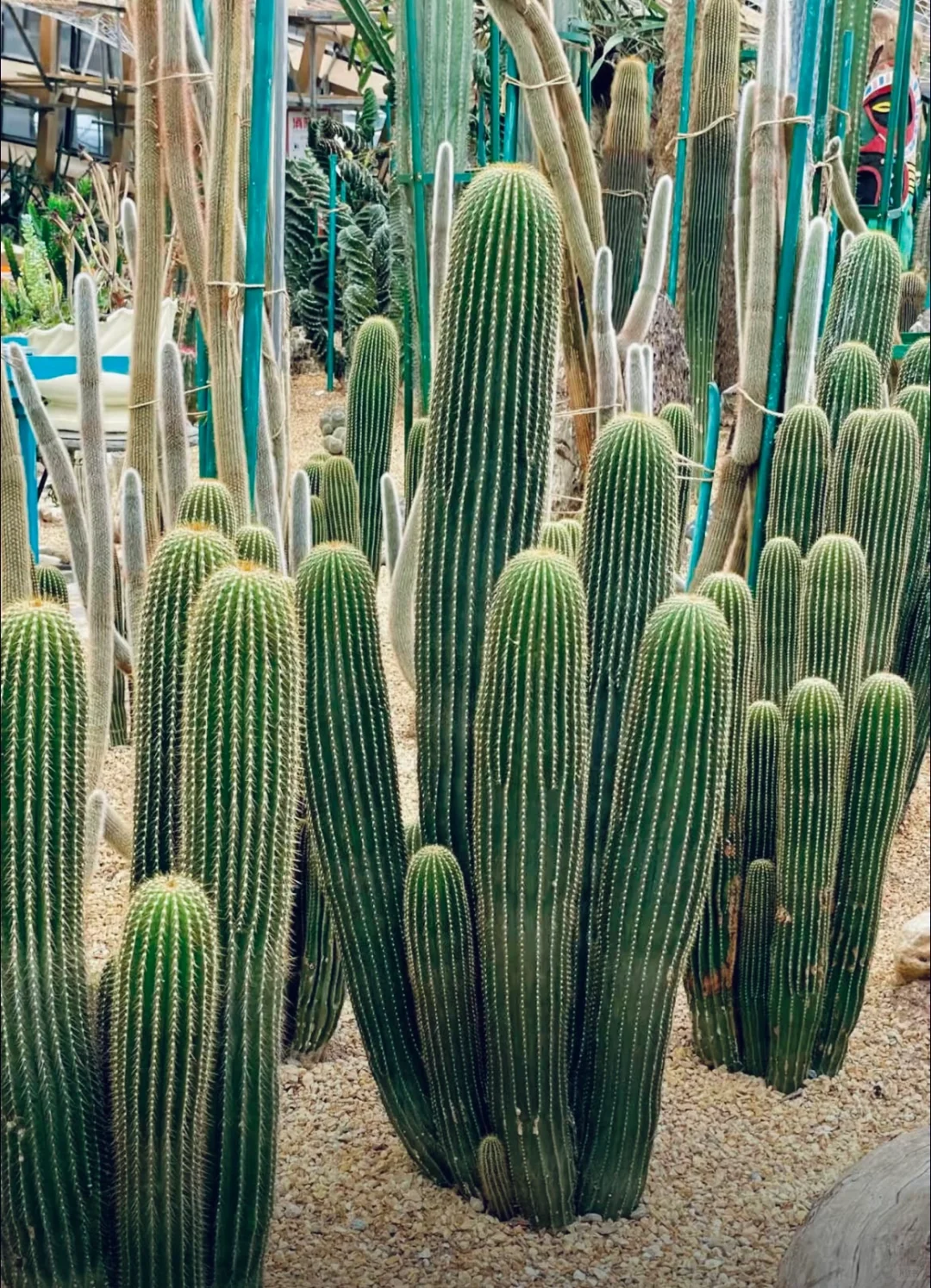 03女大📍太原/两天一夜精华版旅游攻略❗️