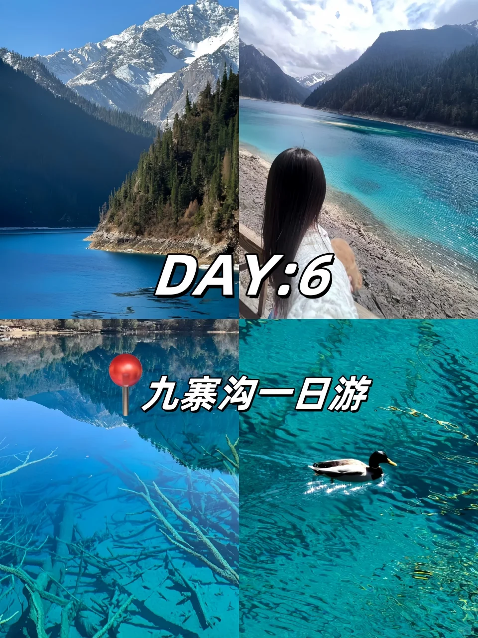 🇲🇾🇨🇳 9天8夜成都重庆旅游攻略