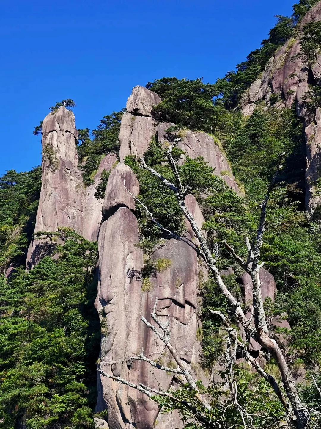 安徽九华山 | 备好这篇攻略就够了!!!