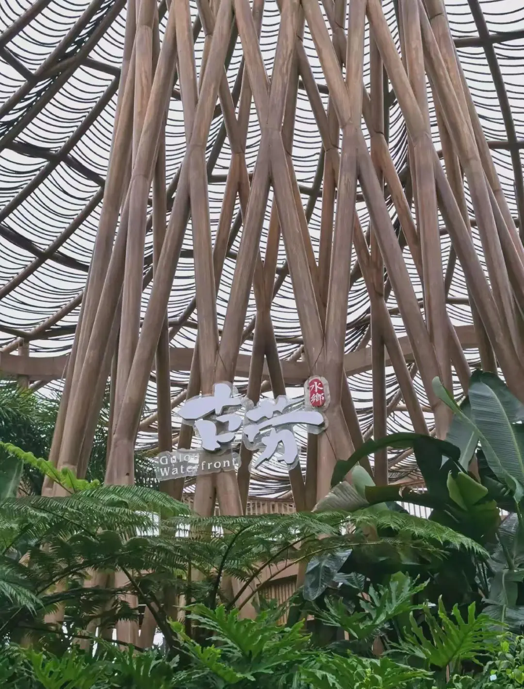 江门古劳水乡旅游攻略 | 邂逅岭南水乡的诗