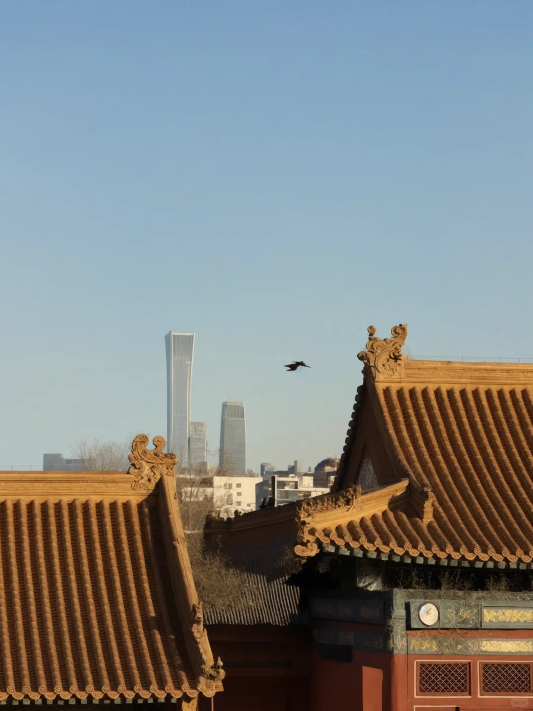 北京已回😥，一定要多带裤子❗❗