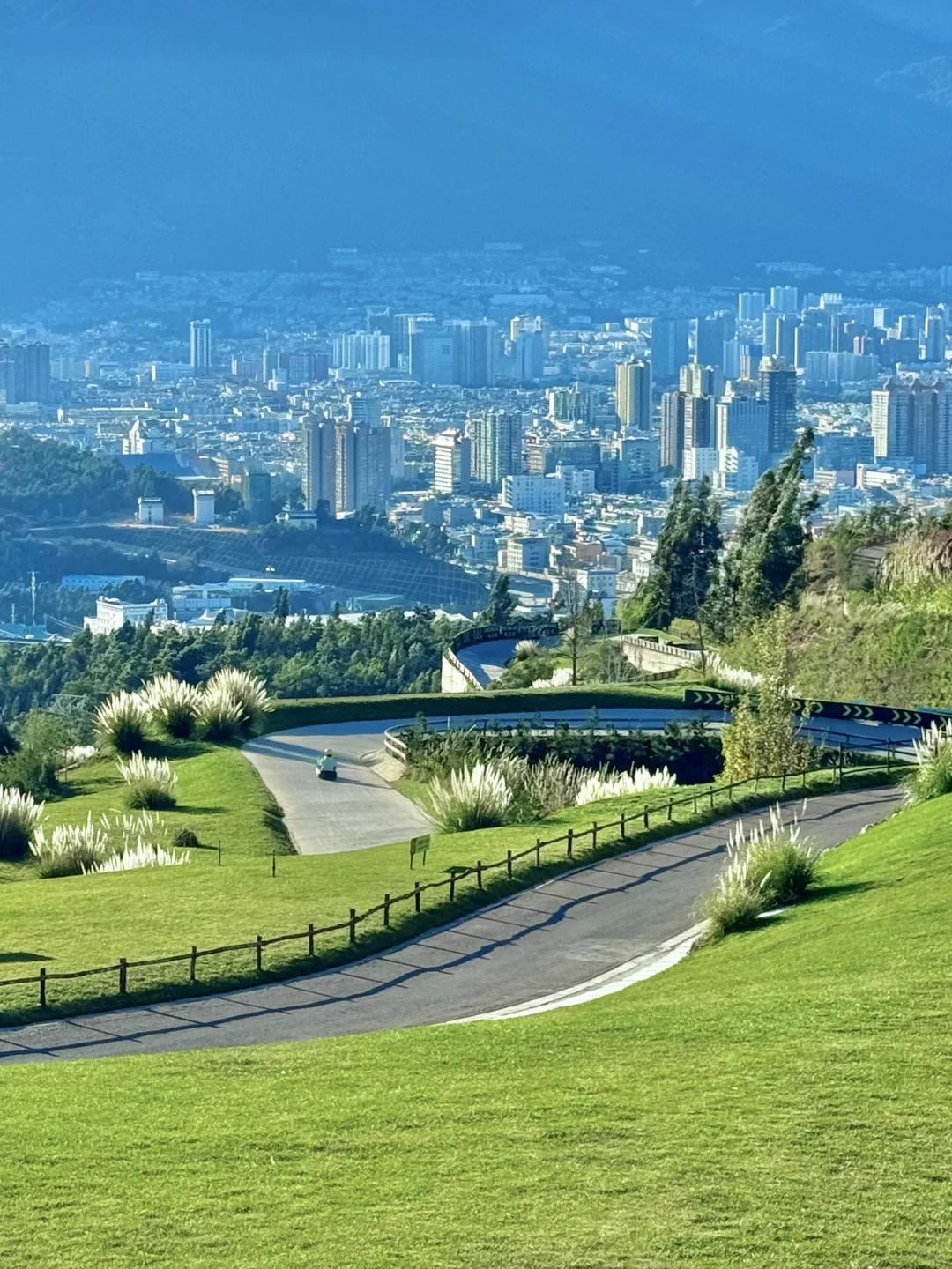 大理新西兰🌳🌳这就是live图的意义