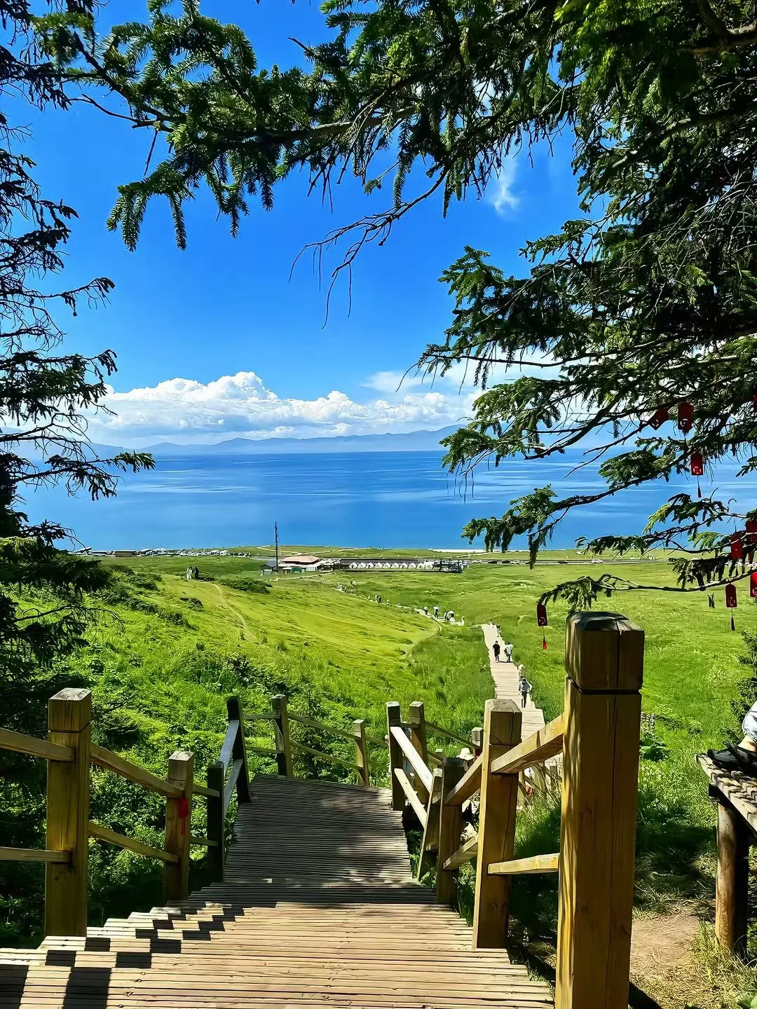 为什么5月去赛里木湖最合适？