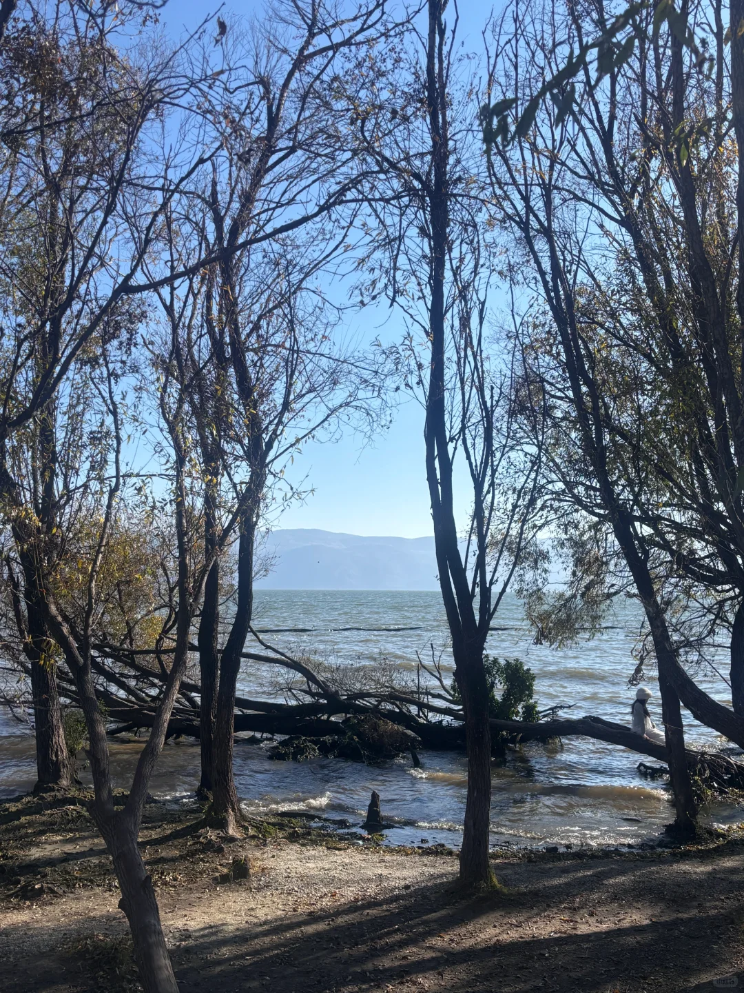 云南旅行攻略,建议4-5月淡季去,人少景美!