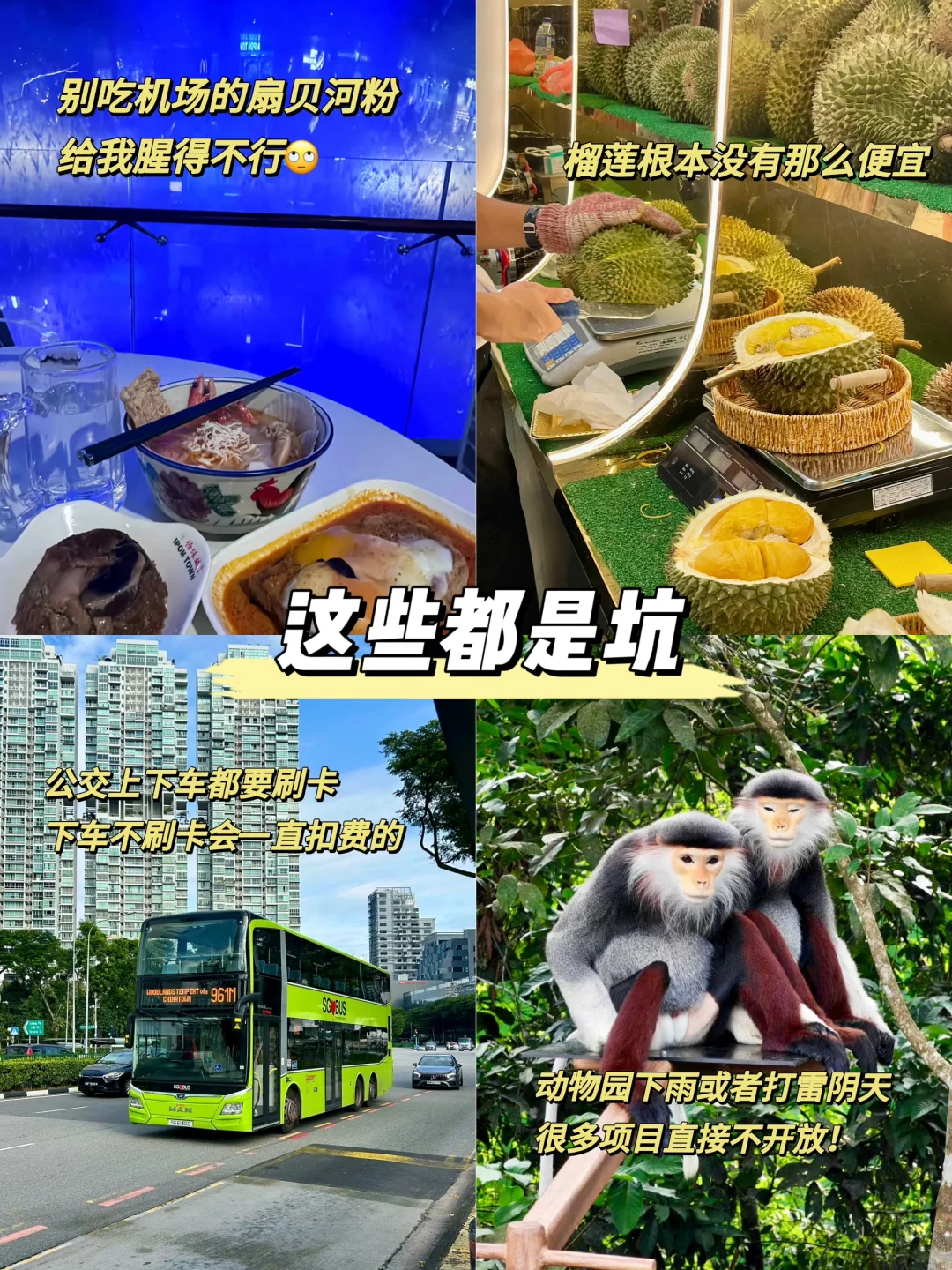 📍5.9新加坡已回。。。😭我是真的崩溃了……