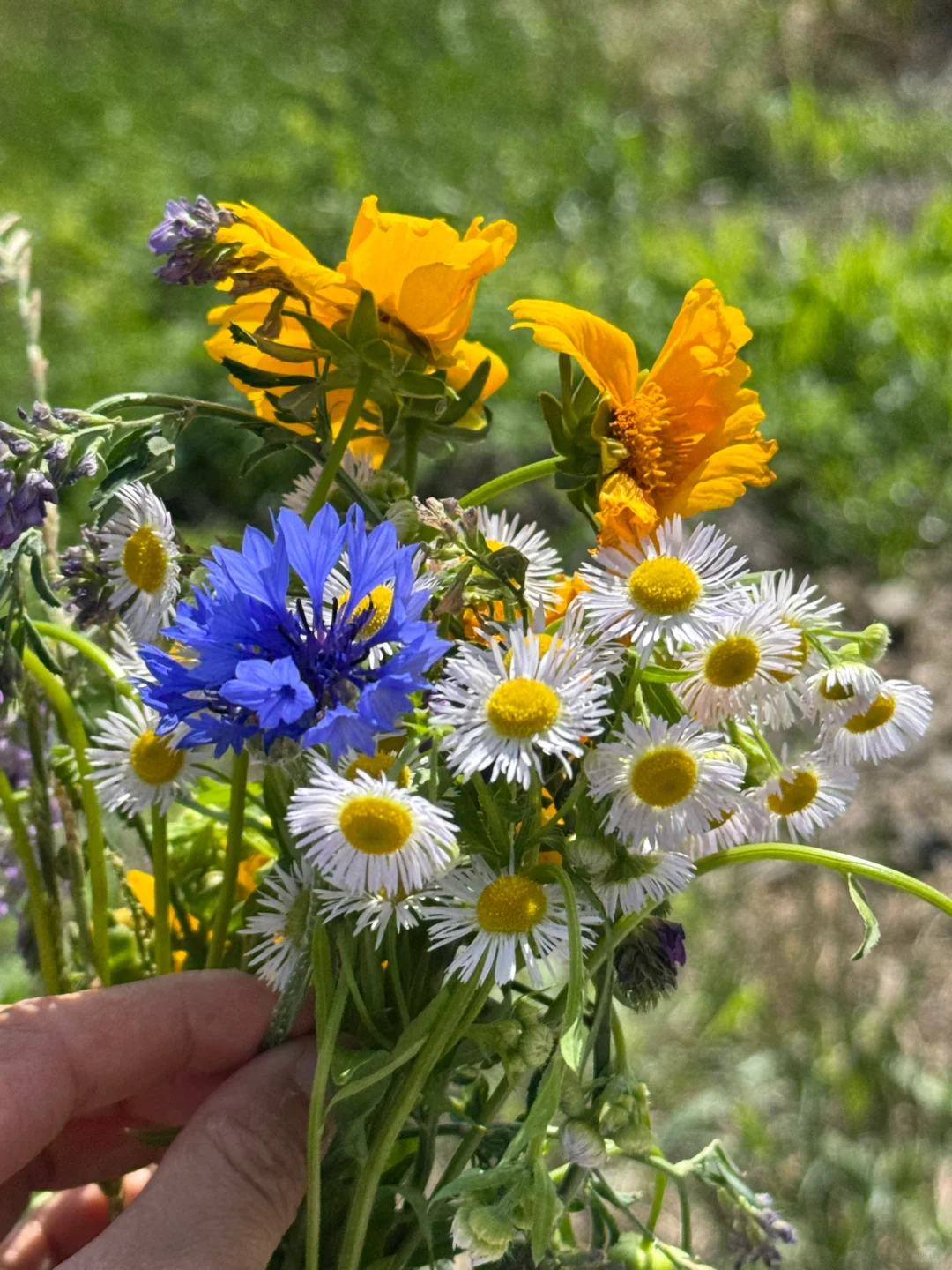 嘉兴超小众景区亲子徒步路线