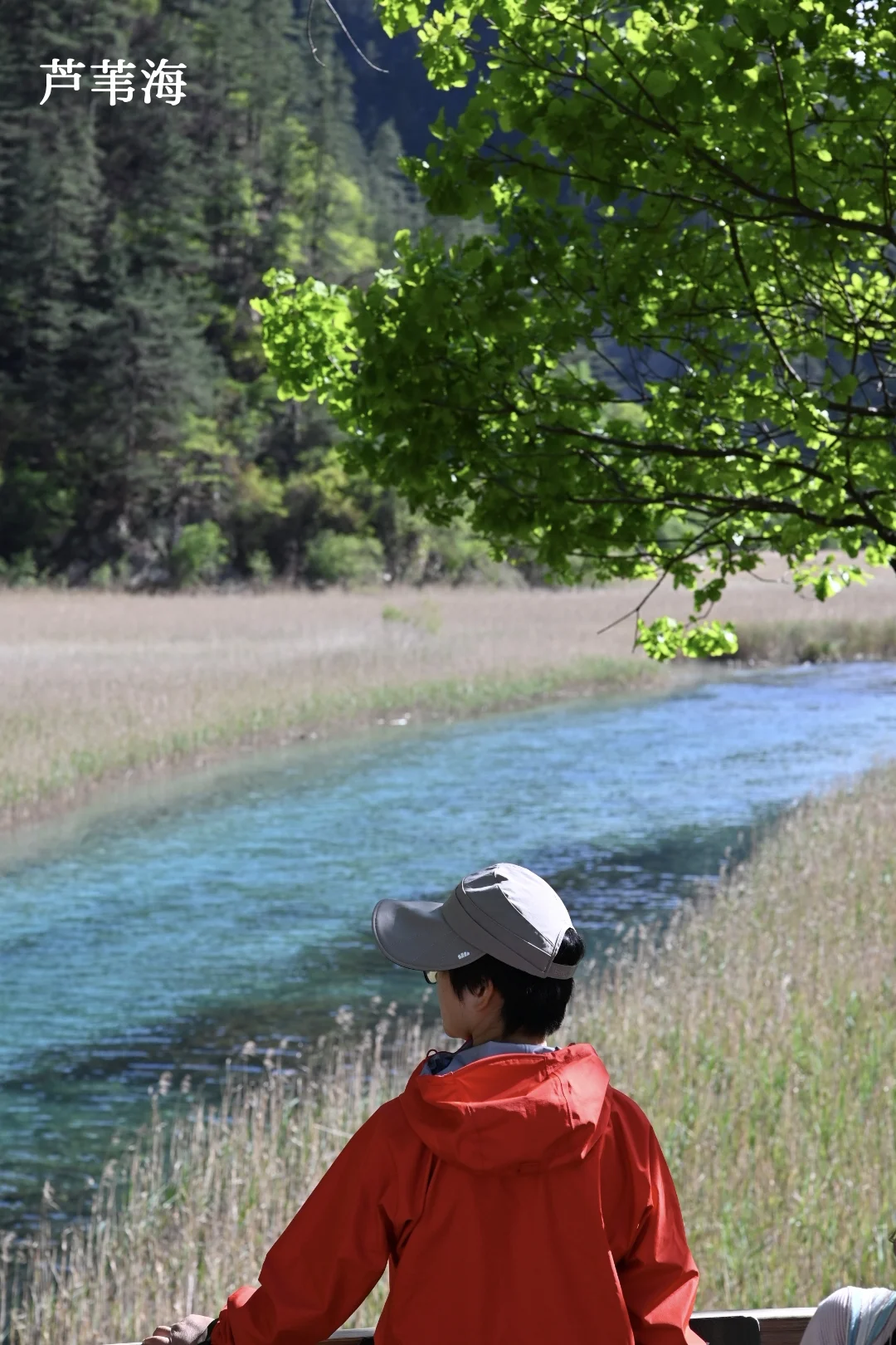 九寨周末景区两日深度游，实测可行！