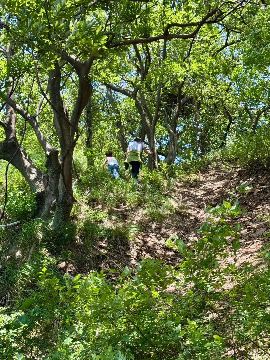 嘉兴超小众景区亲子徒步路线