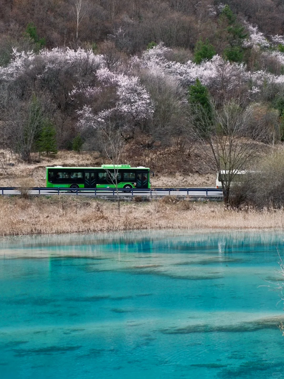 📍九寨沟已回,真心建议5-6月去,因为…