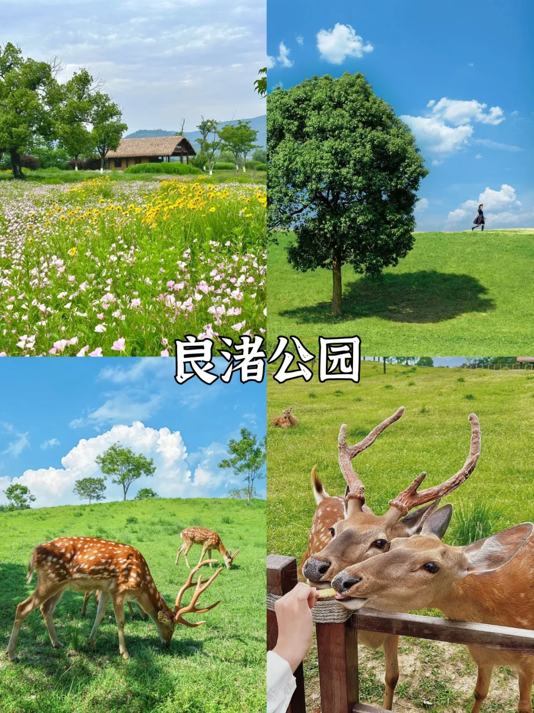 第一次去杭州✅看这篇就够啦‼️景点超全攻略