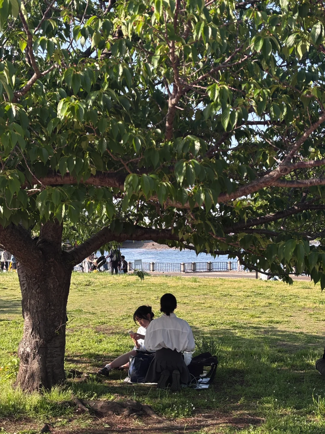 首尔飞东京 旅游攻略总消费✅