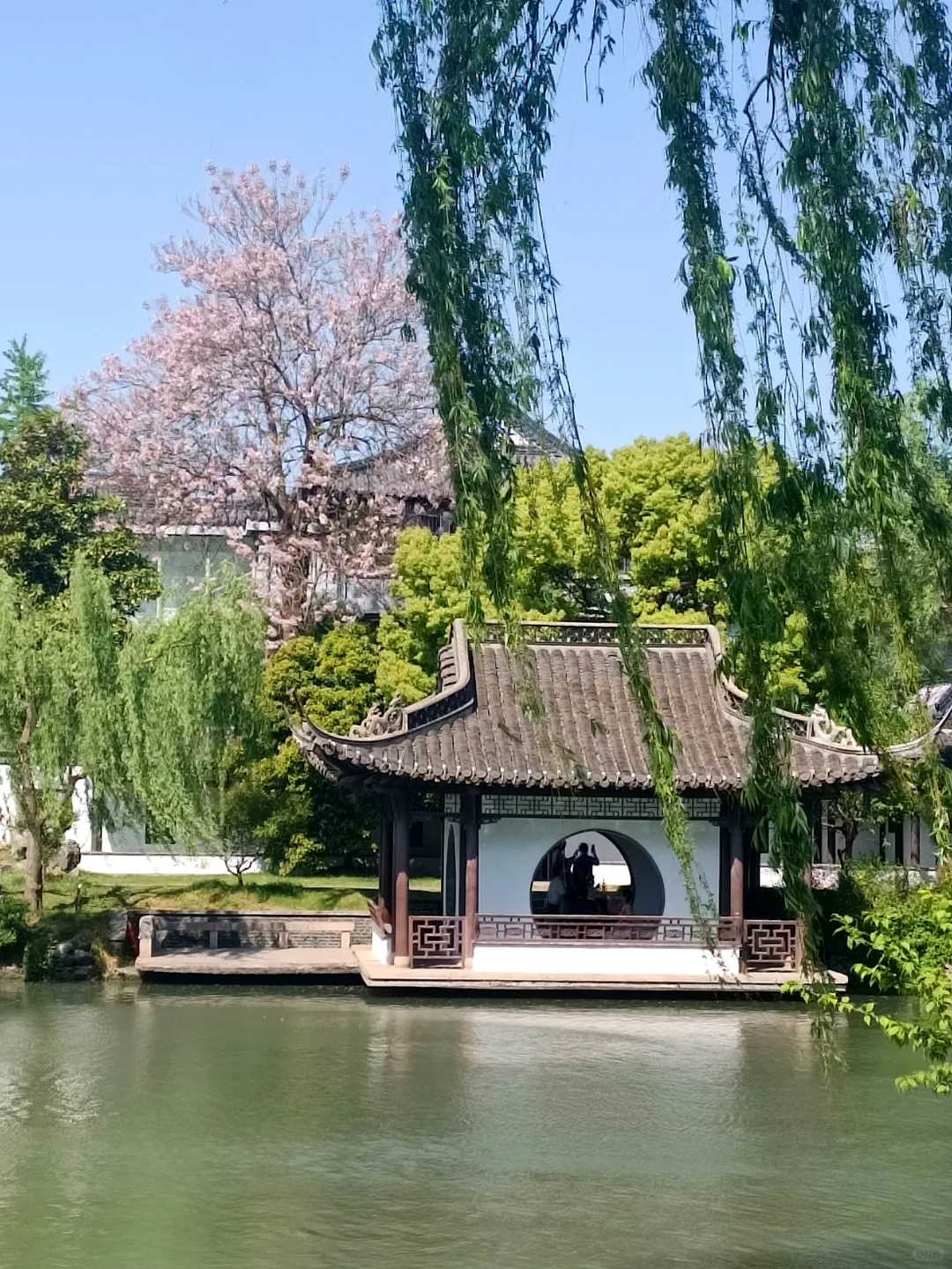 为了这个镜头，去了一次扬州