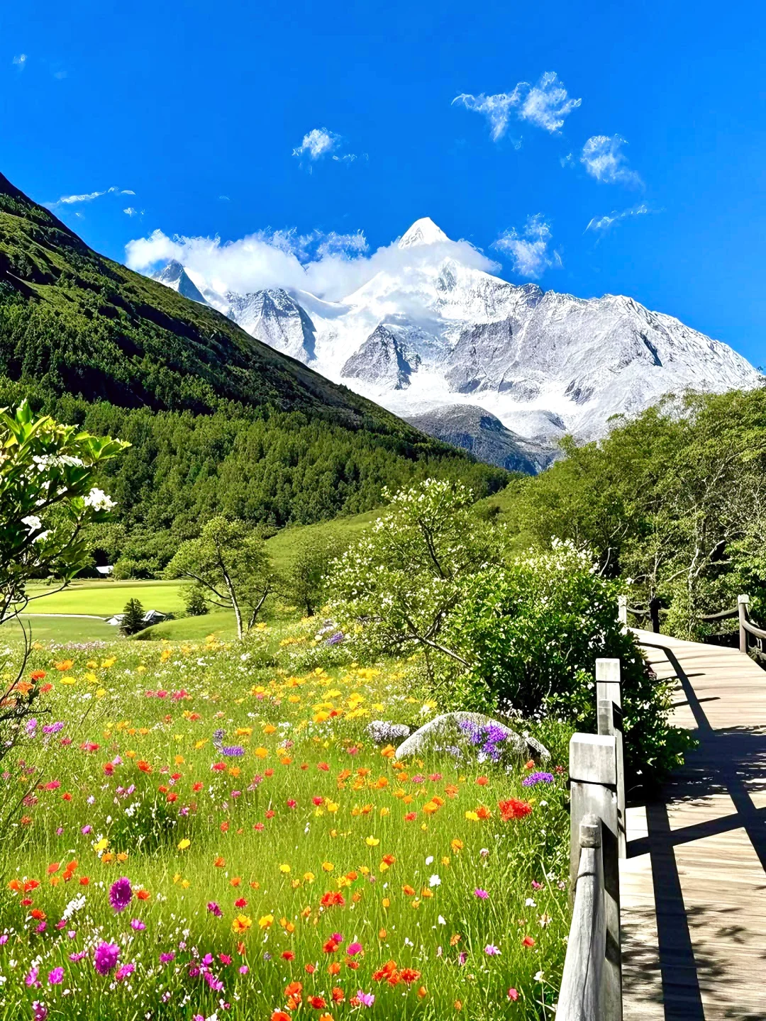 稻城亚丁🏔️的夏天美的像部电影一样🎬～