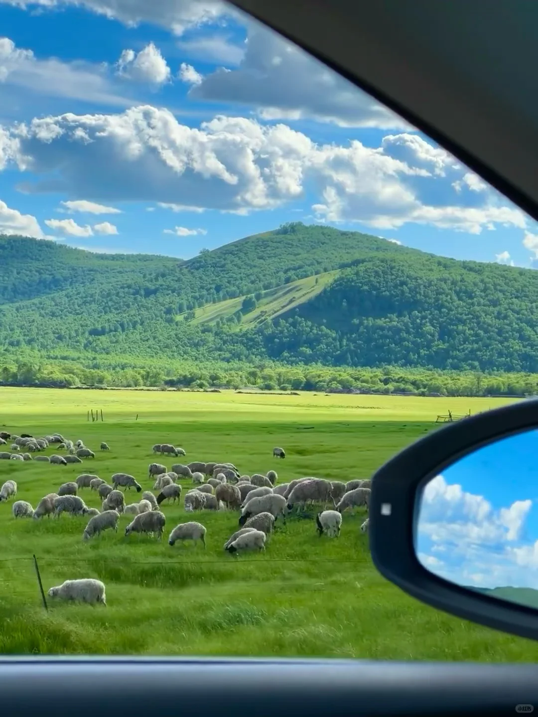 为什么我说5/6月才是乌兰布统的封神季❓