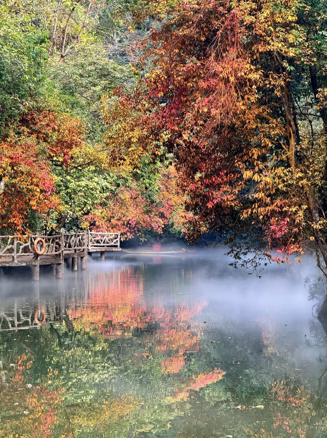 柳州·双龙沟秘境+苗寨奇遇✨包车一日游